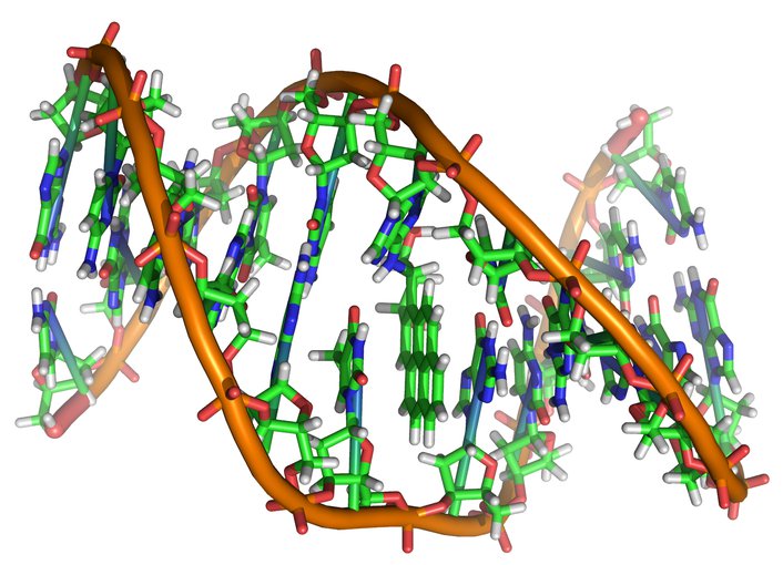 Síntesis de ácidos nucleicos antes del surgimiento de la vida.