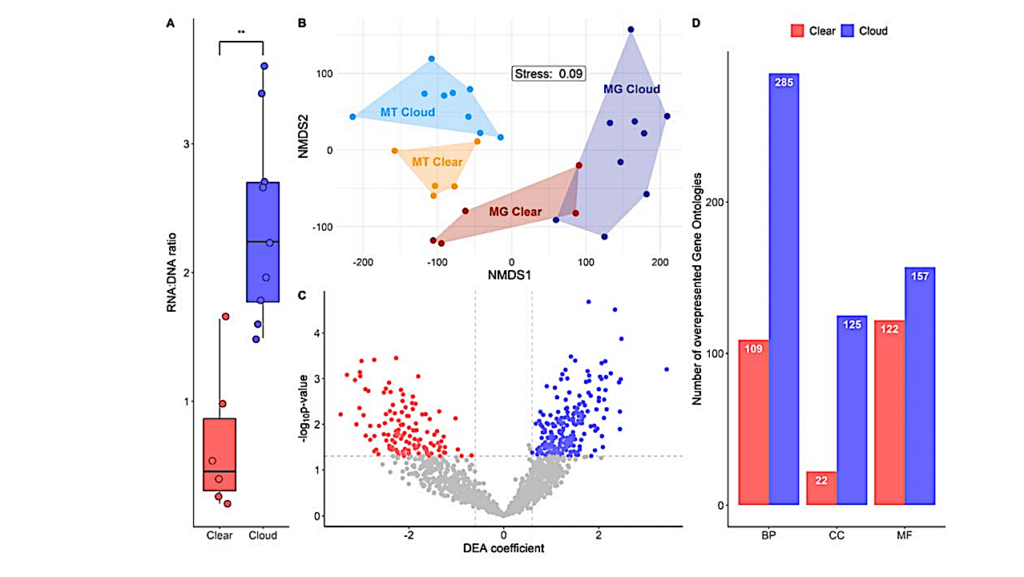 Clouds, Oases For Airborne Microbes – Differential Metagenomics/ Metatranscriptomics Analyses Of Cloudy And Clear Atmospheric Situations