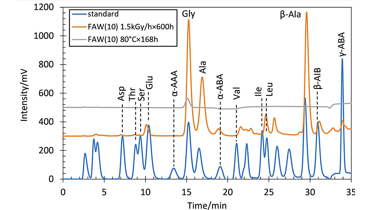 Gamma-Ray-Induced Amino Acid Formation During Aqueous Alteration in Small Bodies: The Effects of Compositions of Starting Solutions