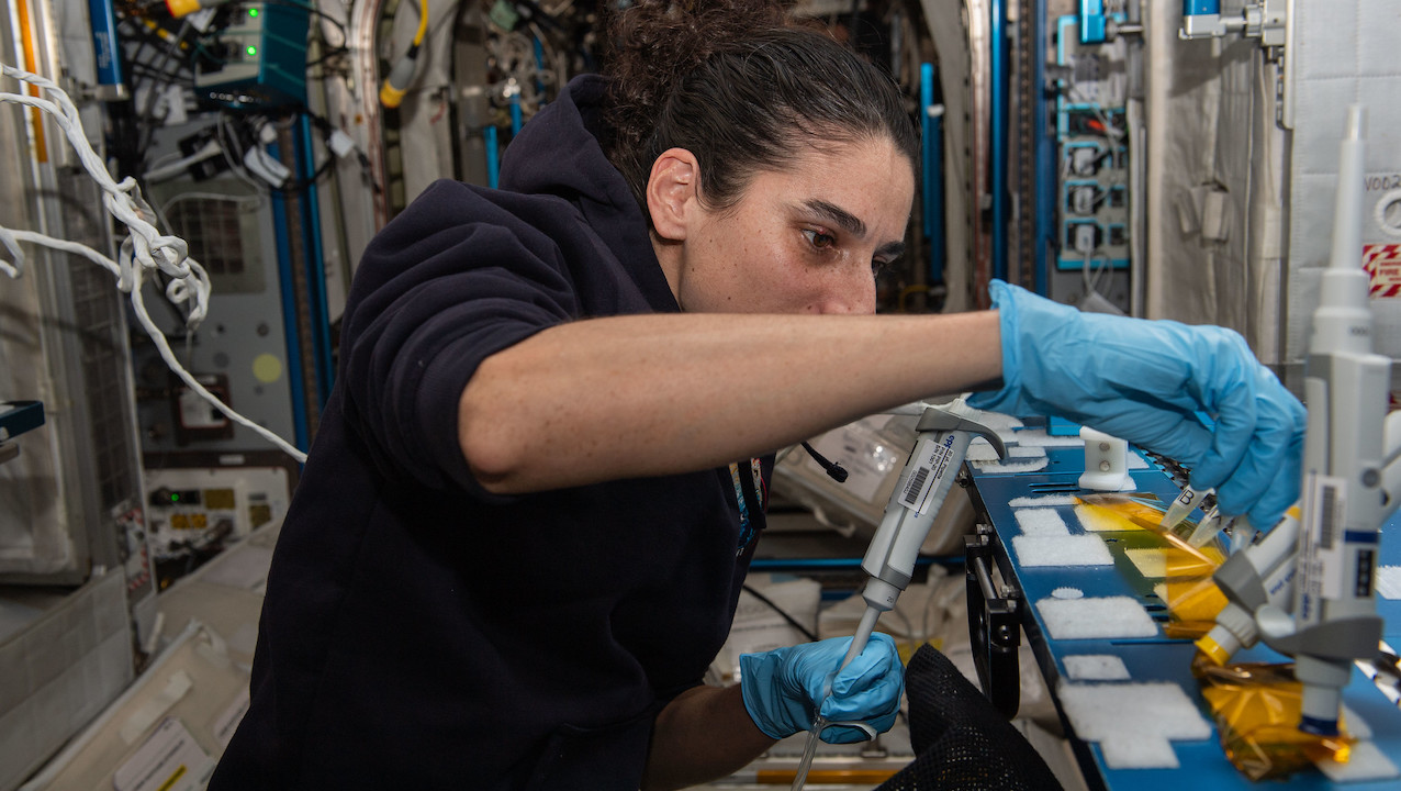 Offworld Life Science: Sequencing DNA Samples On ISS For The BioMole Study