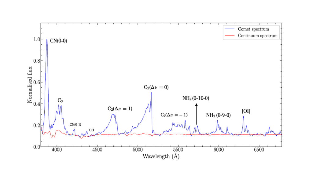 Long-term Spectroscopic Monitoring Of Comet 46P/Wirtanen