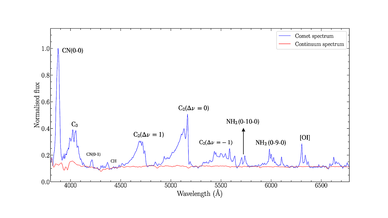 Osservazione spettroscopica a lungo termine della cometa 46P/Wirtanen
