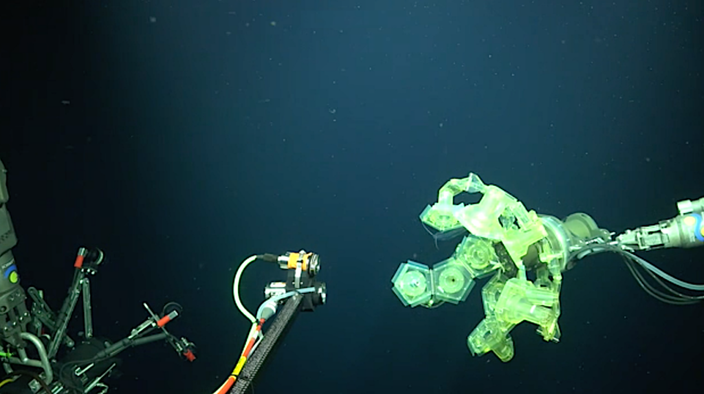 Away Team Tech: New Technology For Conducting Deep-sea Research On Fragile Organisms