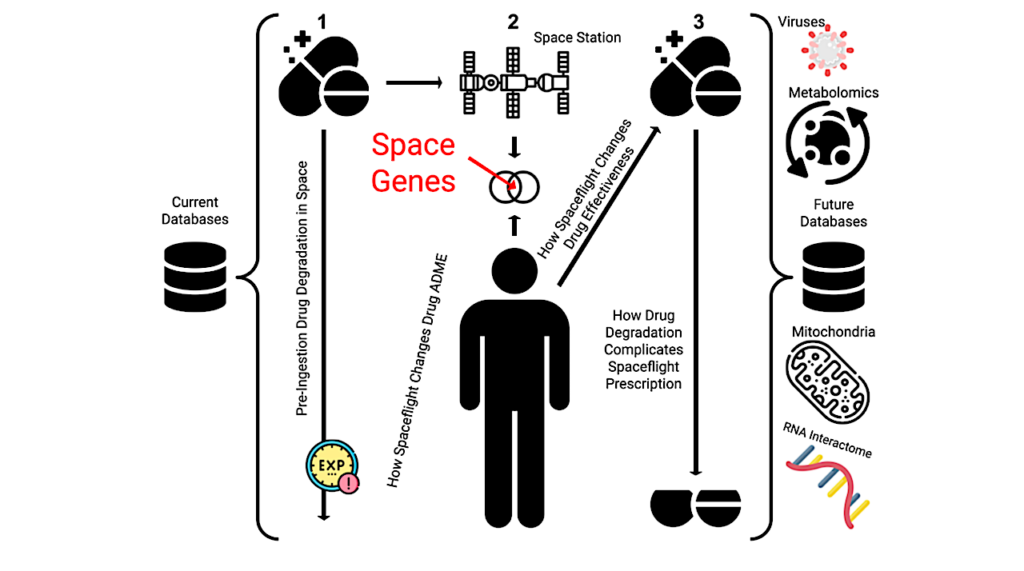 Pharmacogenomics Guided Spaceflight: The Intersection Between Space-flown Drugs And Space Genes