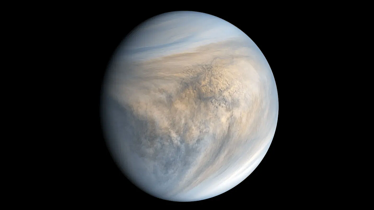 Stability of 20 Biogenic Amino Acids in Concentrated Sulfuric Acid: Implications for the Habitability of Venus’ Clouds
