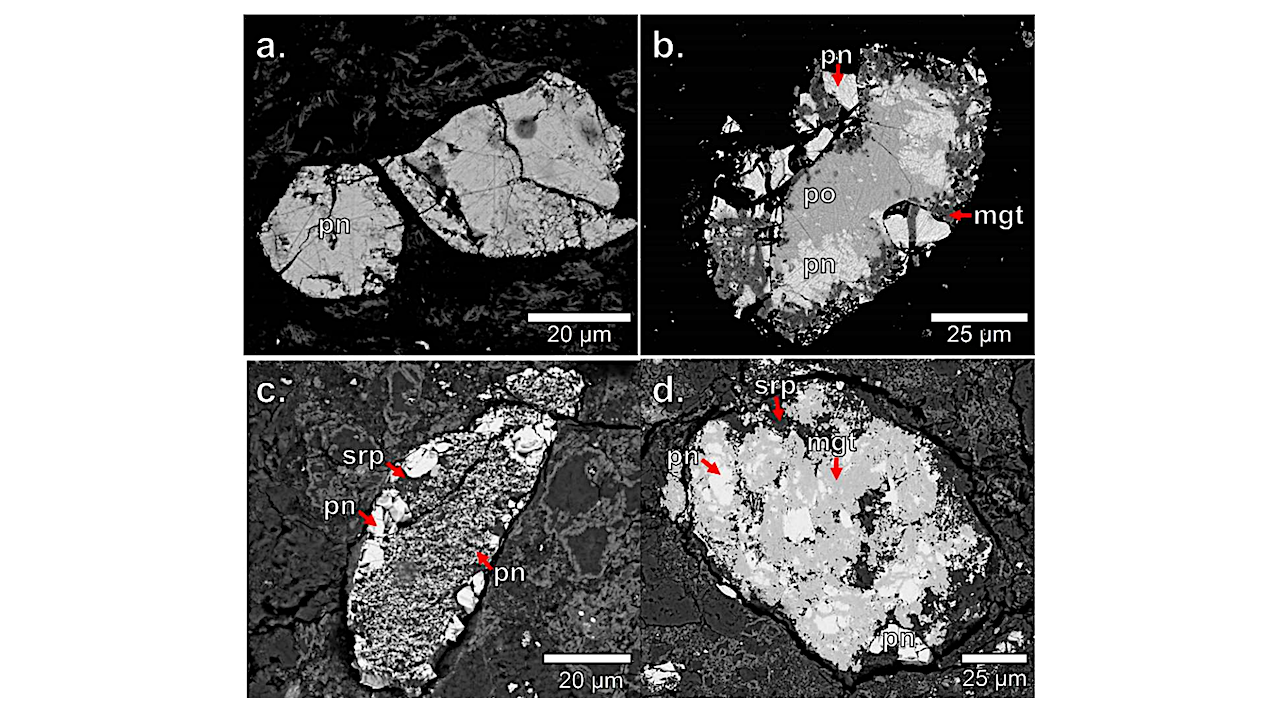 The Fate of Primary Iron Sulfides in the CM1 Carbonaceous Chondrites: Effects of Advanced Aqueous Alteration on Primary Components