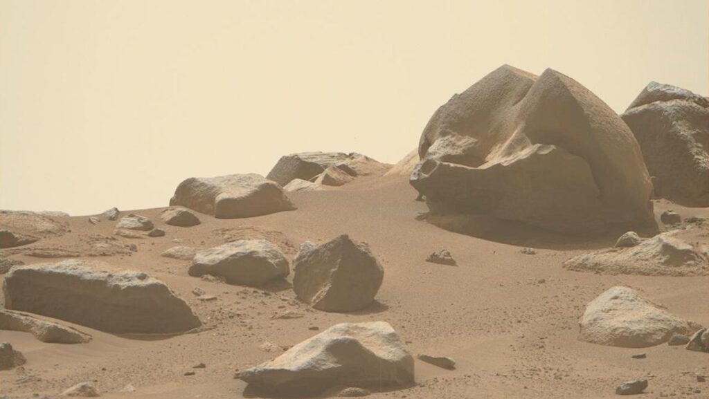 Mars Perseverance Rover Image of the Week – Week 156 (Feb. 4 – 10, 2024)