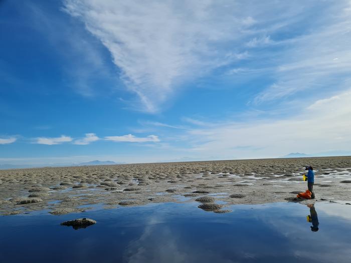 Great Salt Lake’s Imperiled Ecosystem: Microbialites And Nematodes