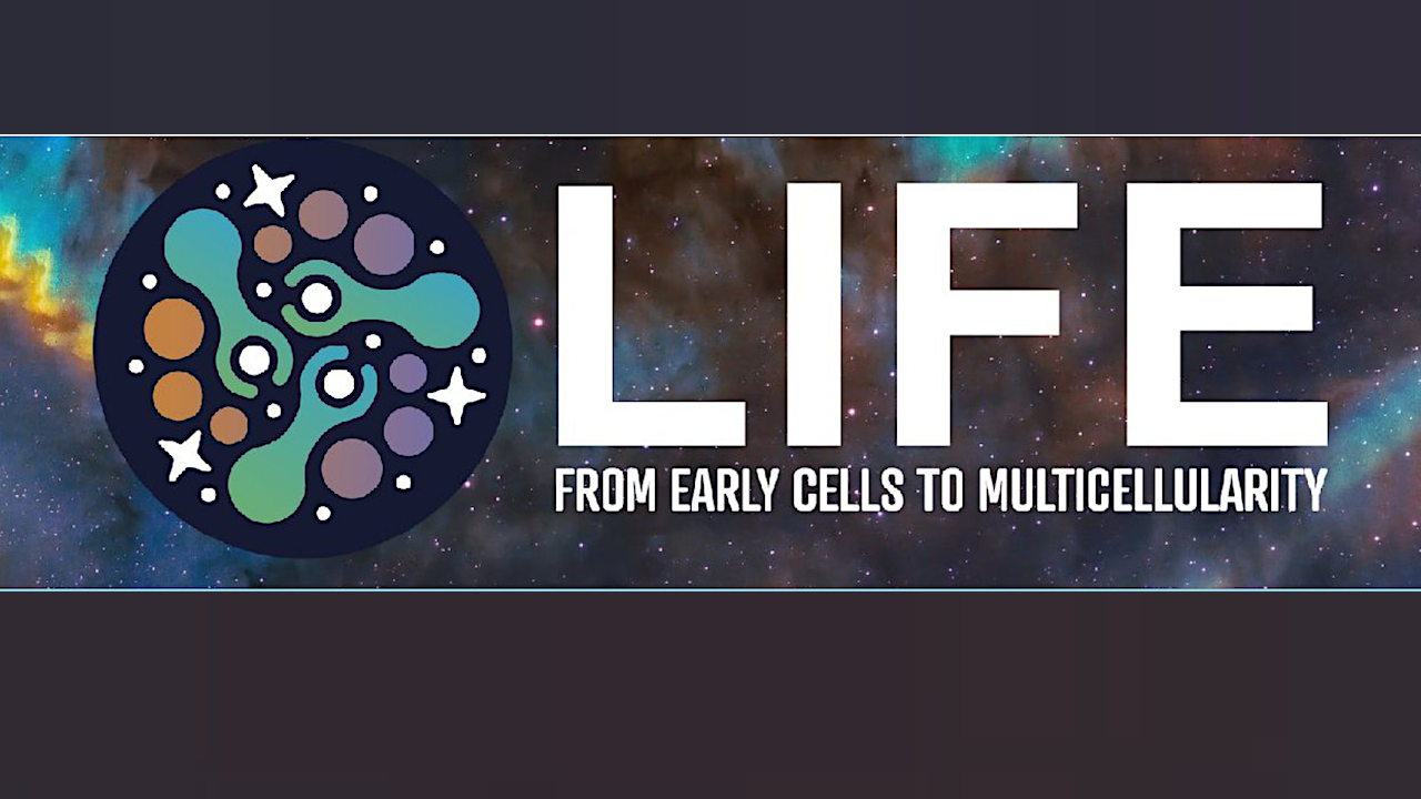LIFE RCN Seminar Series: From Early Cells to Multicellularity