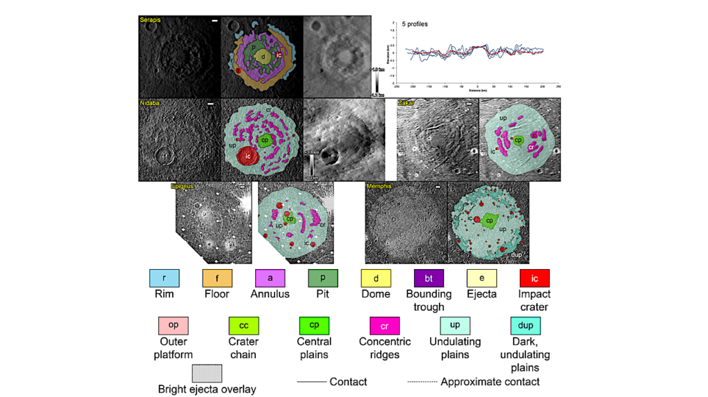 Large Impact Features on Ganymede and Callisto as Revealed by Geological Mapping and Morphometry