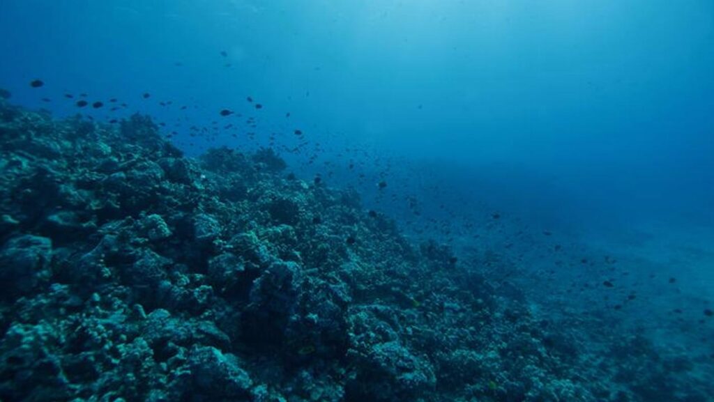 Moonlight-driven Biological Choruses In Hawaiian Coral Reefs