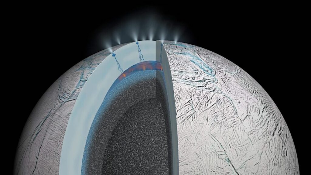Signs Of Life Are Detectable In A Single Ice Grain Emitted From Icy Moons