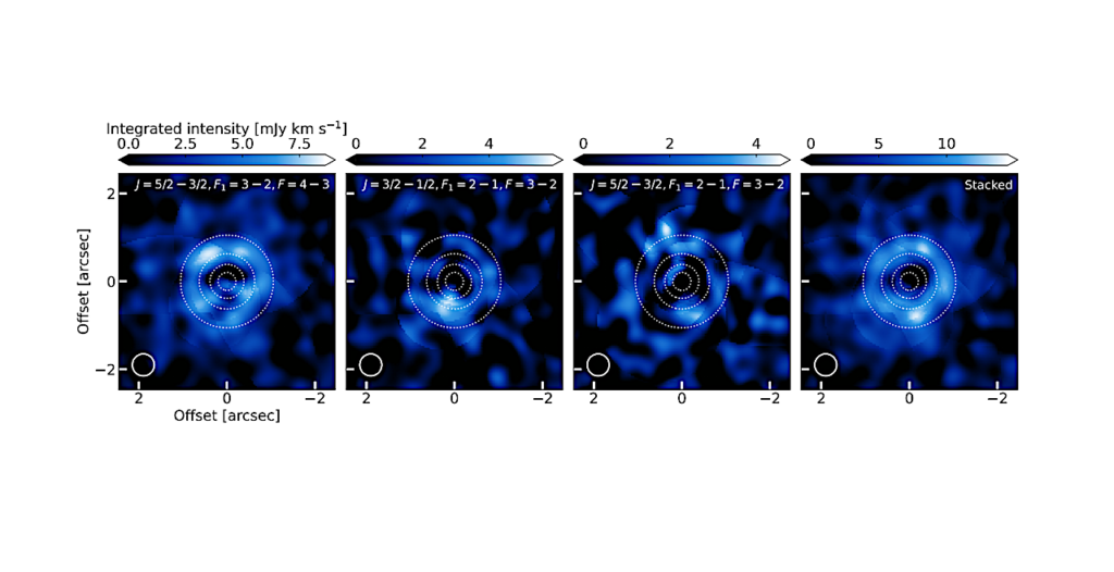 The First Spatially-resolved Detection of 13CN in a Protoplanetary Disk and Evidence for Complex Carbon Isotope Fractionation