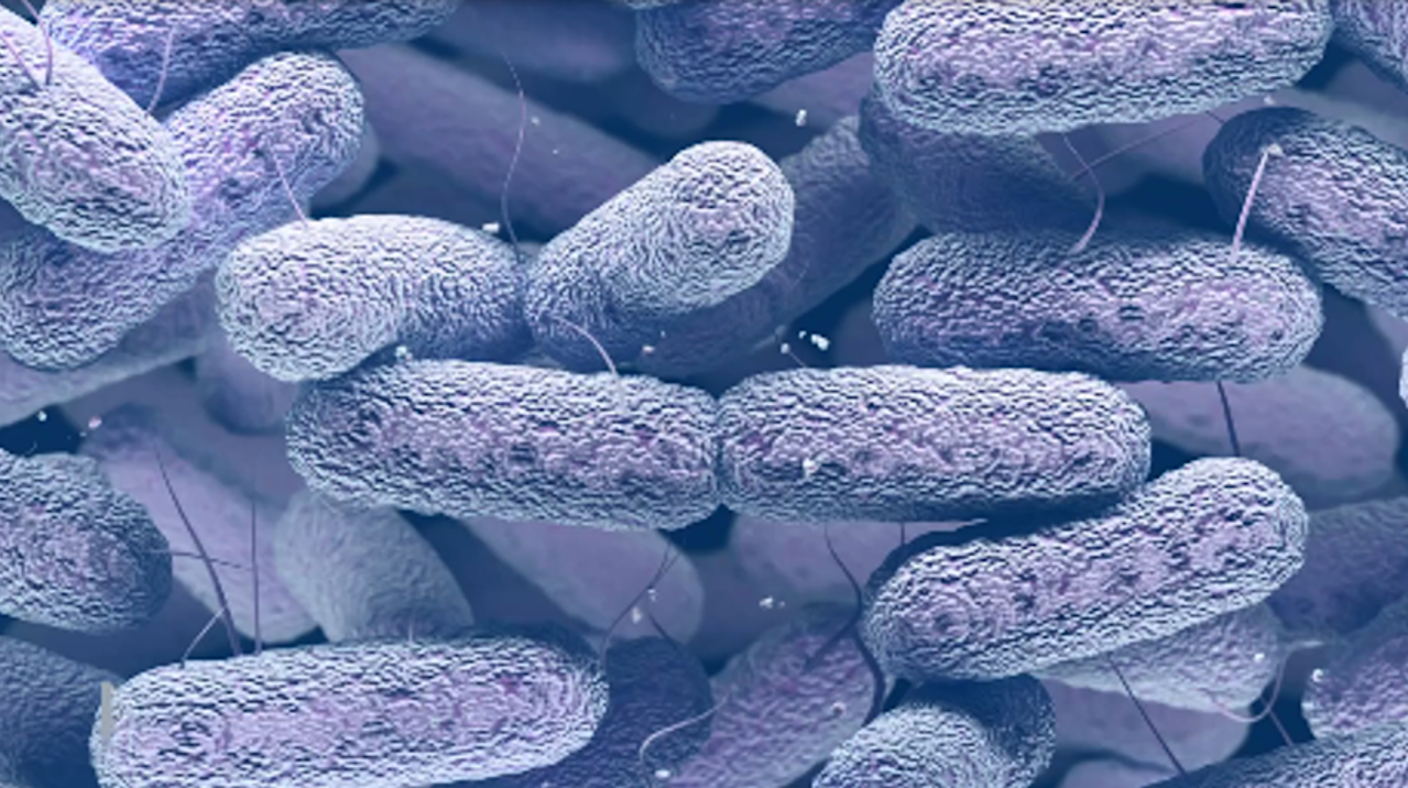 Bacteria Found On The International Space Station Are Mutating To Become Functionally Distinct