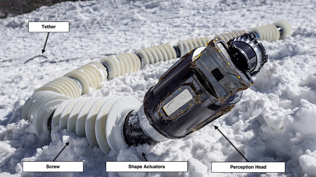 EELS: Autonomous Snake-like Robot With Task And Motion Planning Capabilities For Ice World Exploration