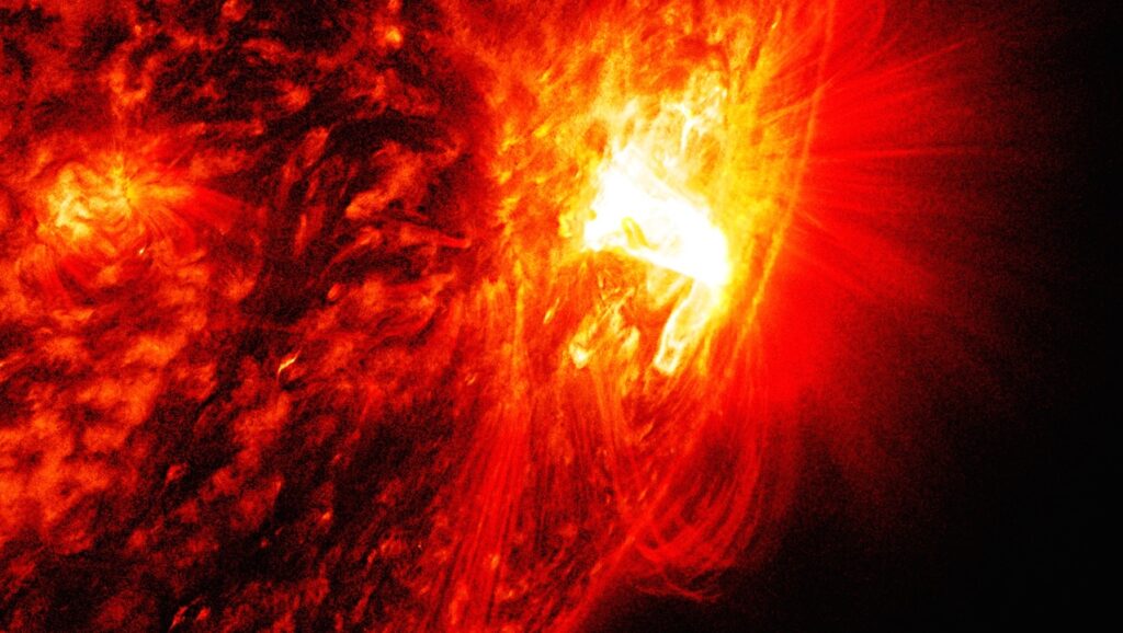 Earth Life Records Its Local Star’s Space Weather: Carrington Event