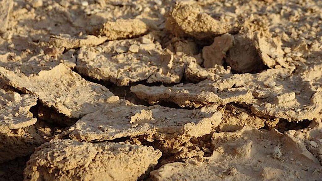 How Soil Microbes Survive In Harsh Desert Environments