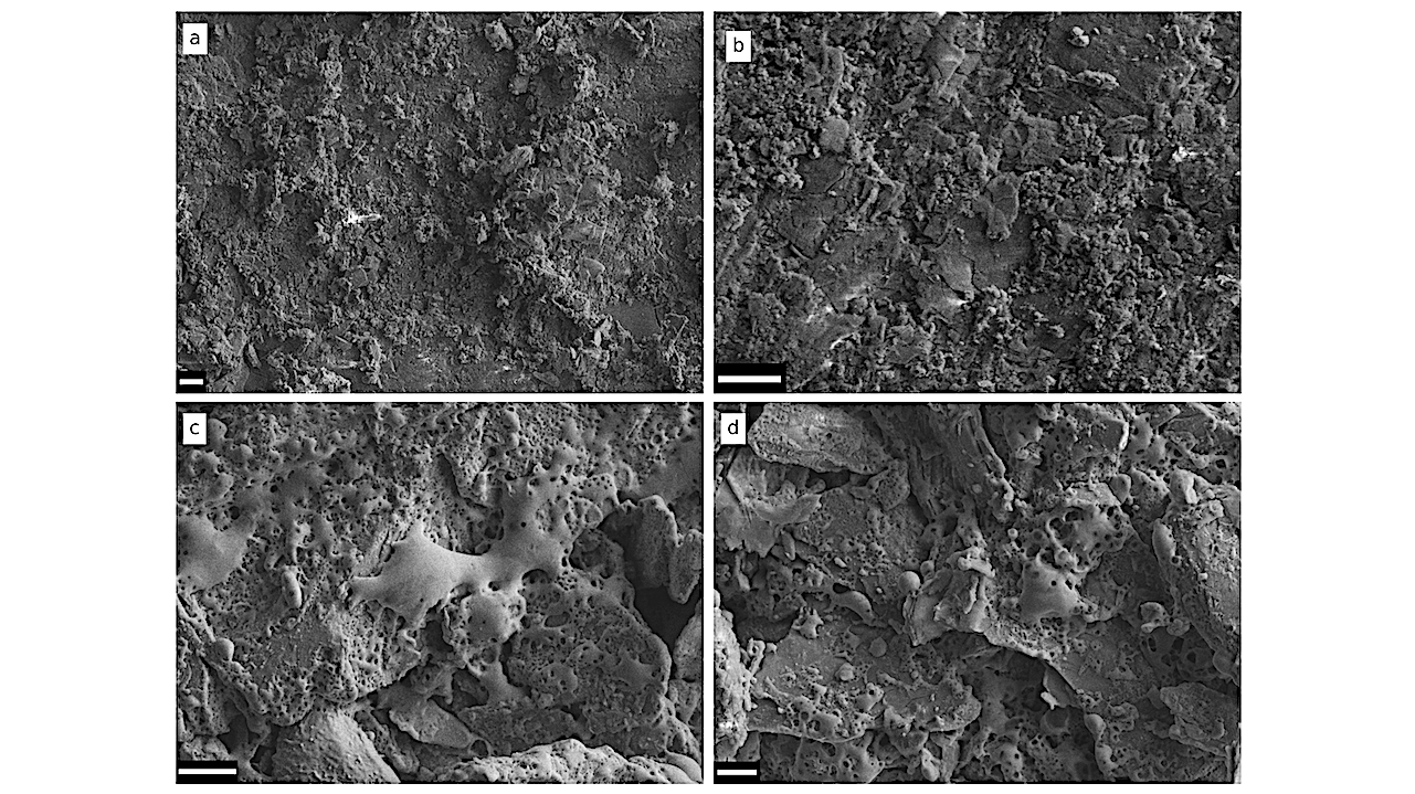 Laser Irradiation of Carbonaceous Chondrite Simulants: Space Weathering Implications for C-complex Asteroids