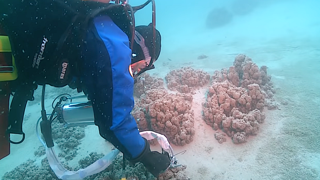 Video: Astrobiologist Dale Andersen Exploring Pavilion Lake With SCUBA And ROVs