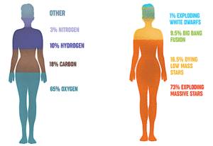 Periodic Table: Nuclear Origin Of The Elements - And Life - Astrobiology