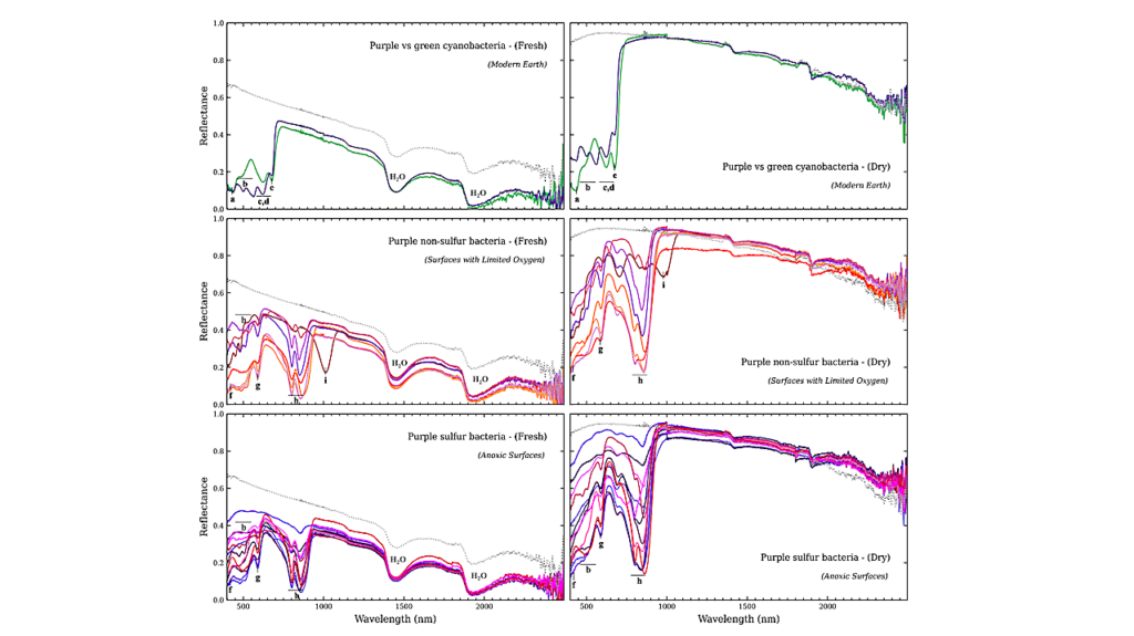 Purple Is The New Green: Biopigments And Spectra Of Earth-like Purple Worlds