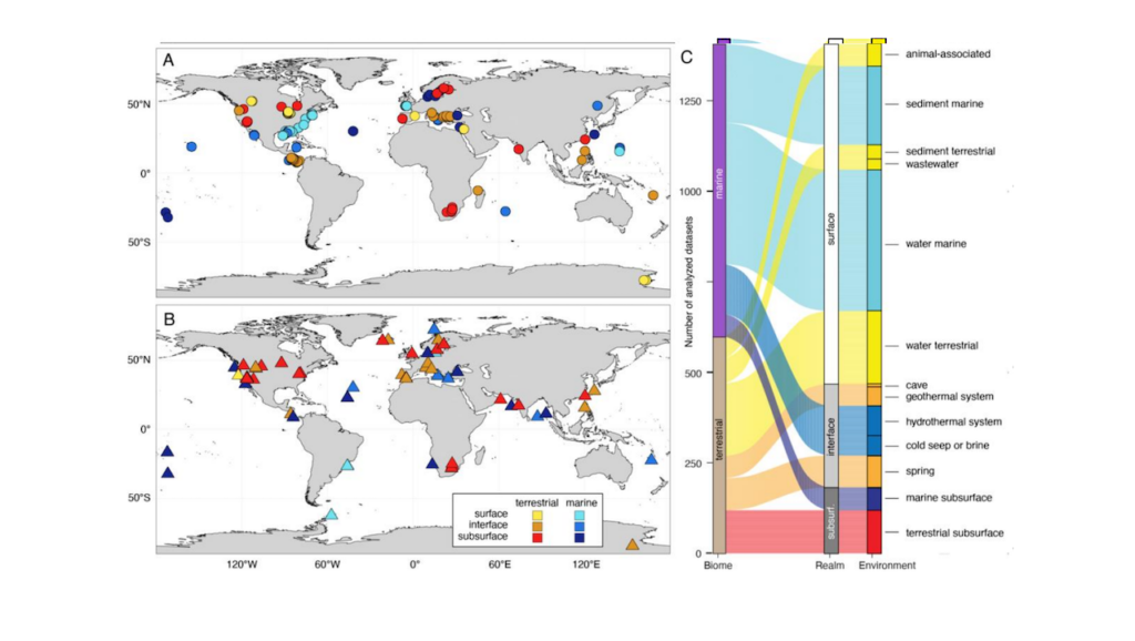 A Global Atlas Of Subsurface Microbiomes Reveals Phylogenetic Novelty, Large Scale Biodiversity Gradients, And A Marine-terrestrial Divide