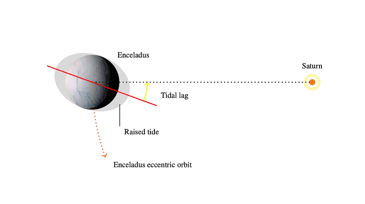 A Simplified Model for the Forced Libration of Icy Moons with Subsurface Oceans: Application to Enceladus and Mimas