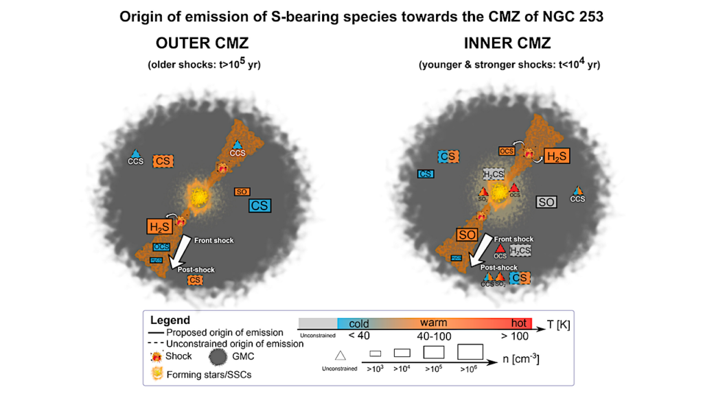 An ALCHEMI Inspection of Sulphur-bearing Species Towards the Central Molecular Zone of NGC 253