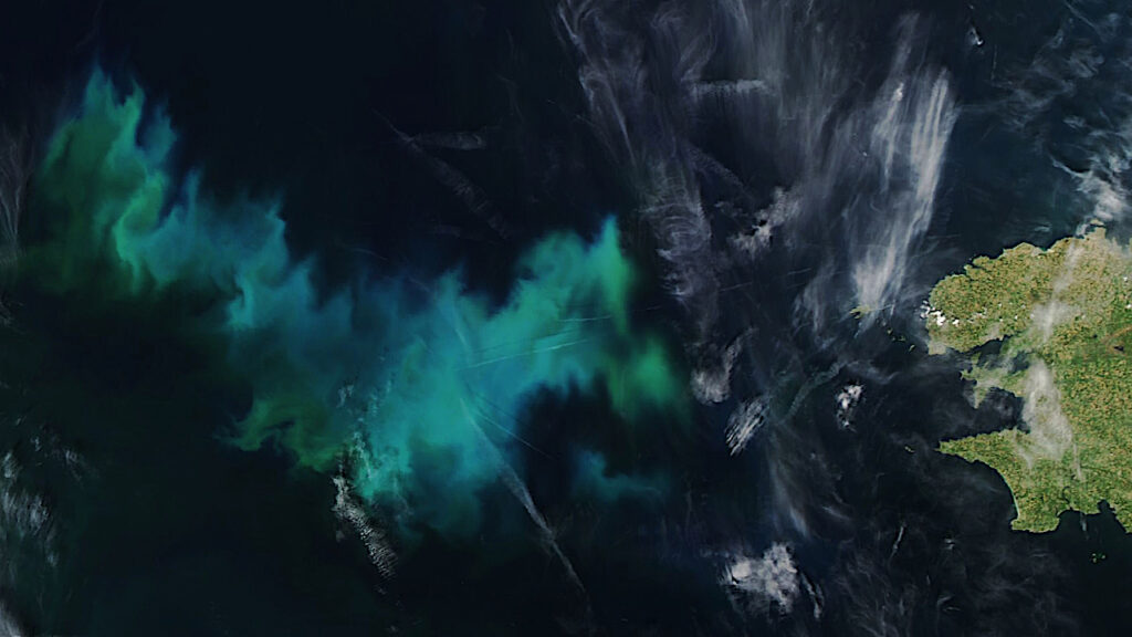 Biosignatures Seen From Space: A Phytoplankton Bloom