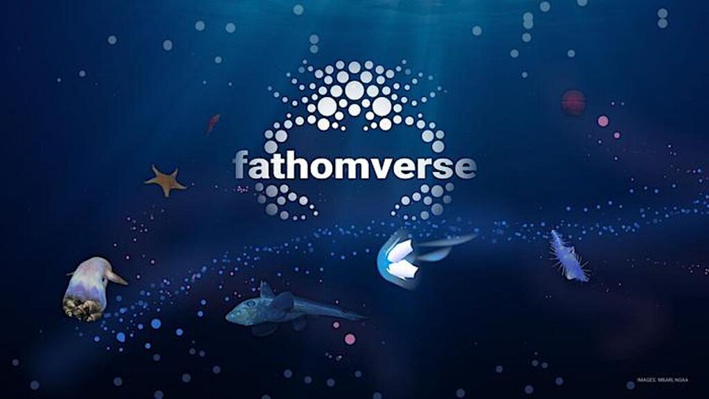 FathomVerse Mobile Game Inspires A New Wave Of Ocean Exploration