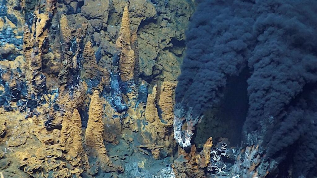 Hydrothermal vents on the ocean floor, known as black smokers, emit volcanically heated fluids rich in dissolved metals and sulfur. These environments are oases of microbial activity on the ocean floor. -- Marum Universitat of Bremen