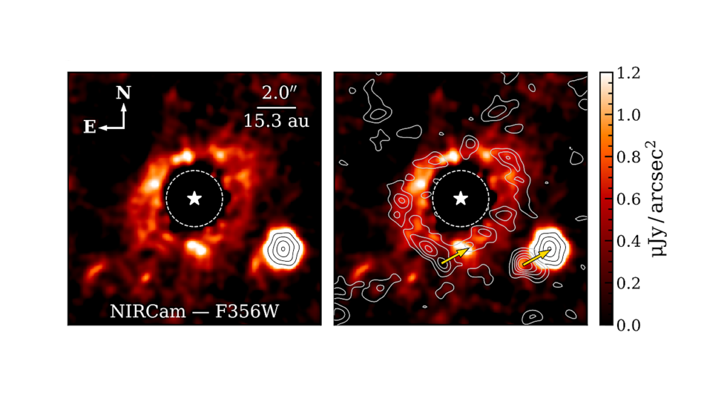 JWST/NIRCam Detection of the Fomalhaut C Debris Disk in Scattered Light