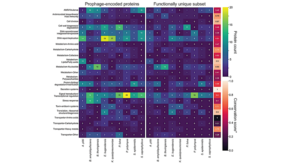 Microbial Adaptation To Spaceflight Is Correlated With Bacteriophage-encoded Functions