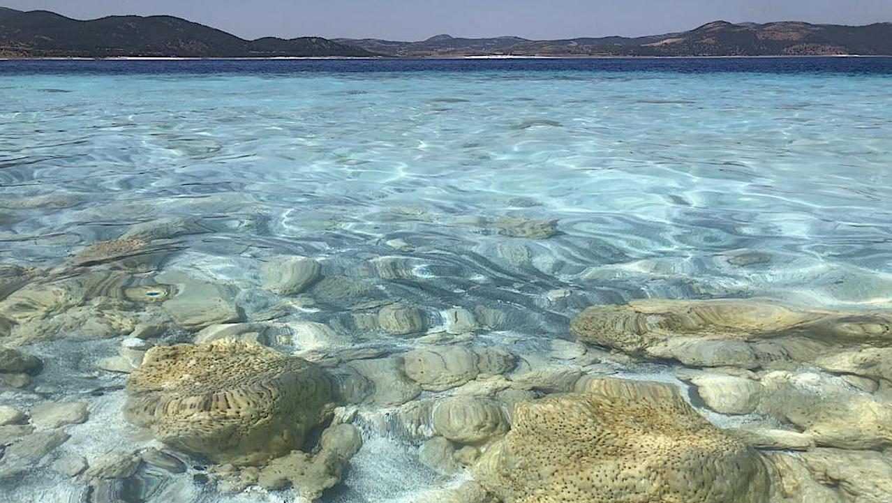 Microbialites On The Shore Of Lake Salda In Turkey