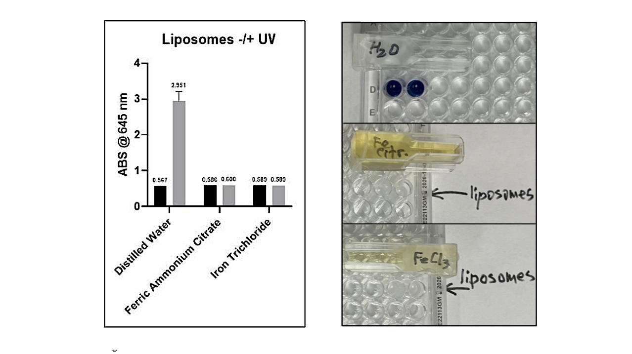 Solutions Of Ferrous Salts Protect Liposomes From UV Damage: Implications For Life Origin