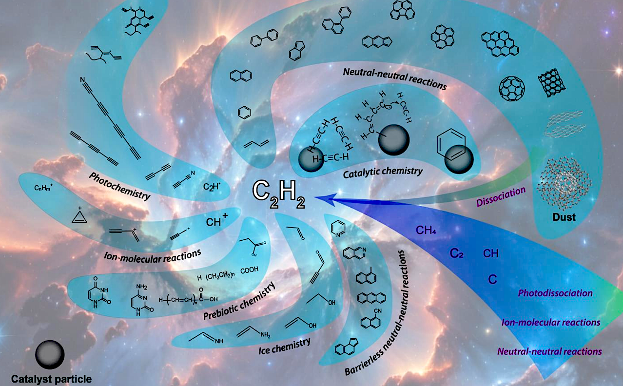 The Role of Acetylene in the Chemical Evolution of Carbon Complexity
