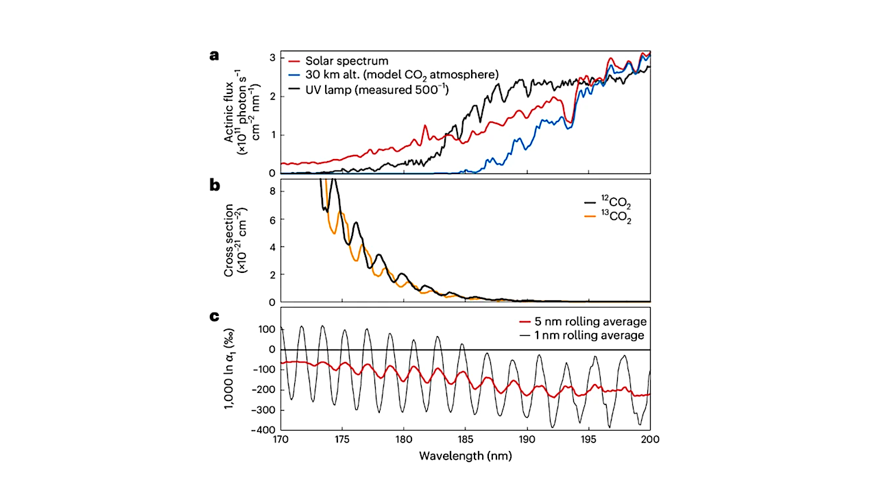 Tracing The Origins of Organic Matter in Martian Sediments