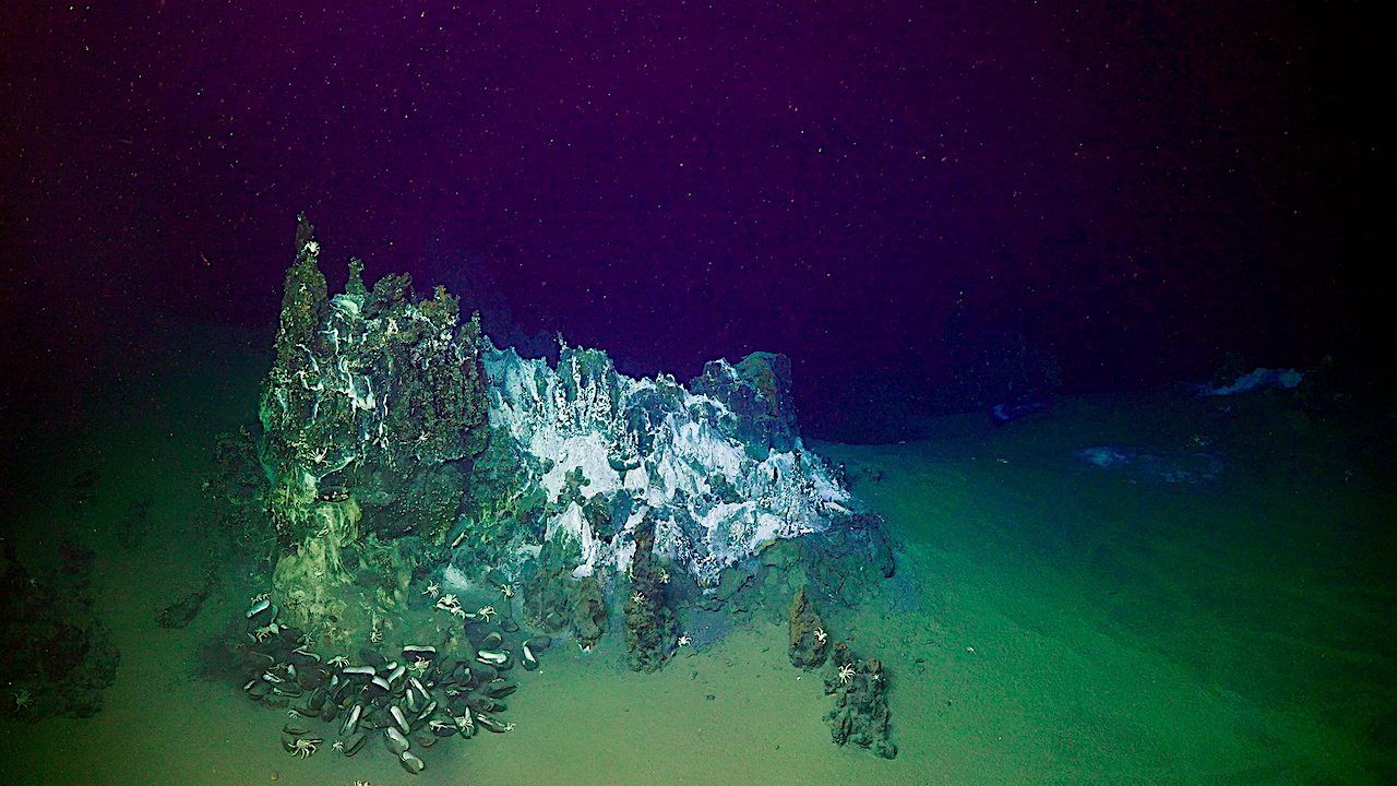 Seafloor Life Devastated Near Explosive Volcanic Eruption In Pacific