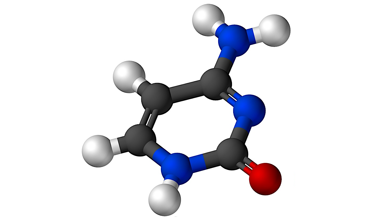 An Experimental and Numerical Model of the Behavior of Cytosine in Aqueous Solution under Gamma Radiation – Relevance in Prebiotic Chemistry