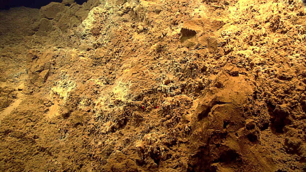 Exploring Microbial Mat Communities In Extreme Environments