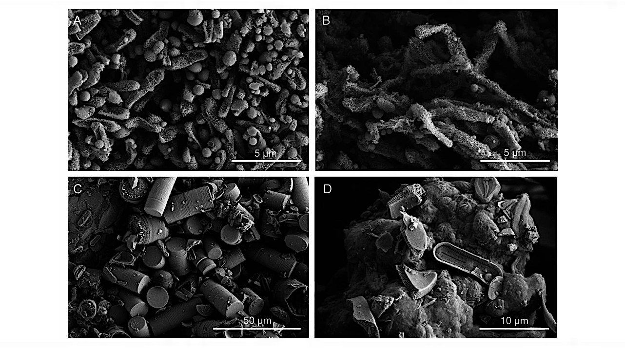 First Insights Into The Bacterial Diversity of Mount Etna Volcanic Caves