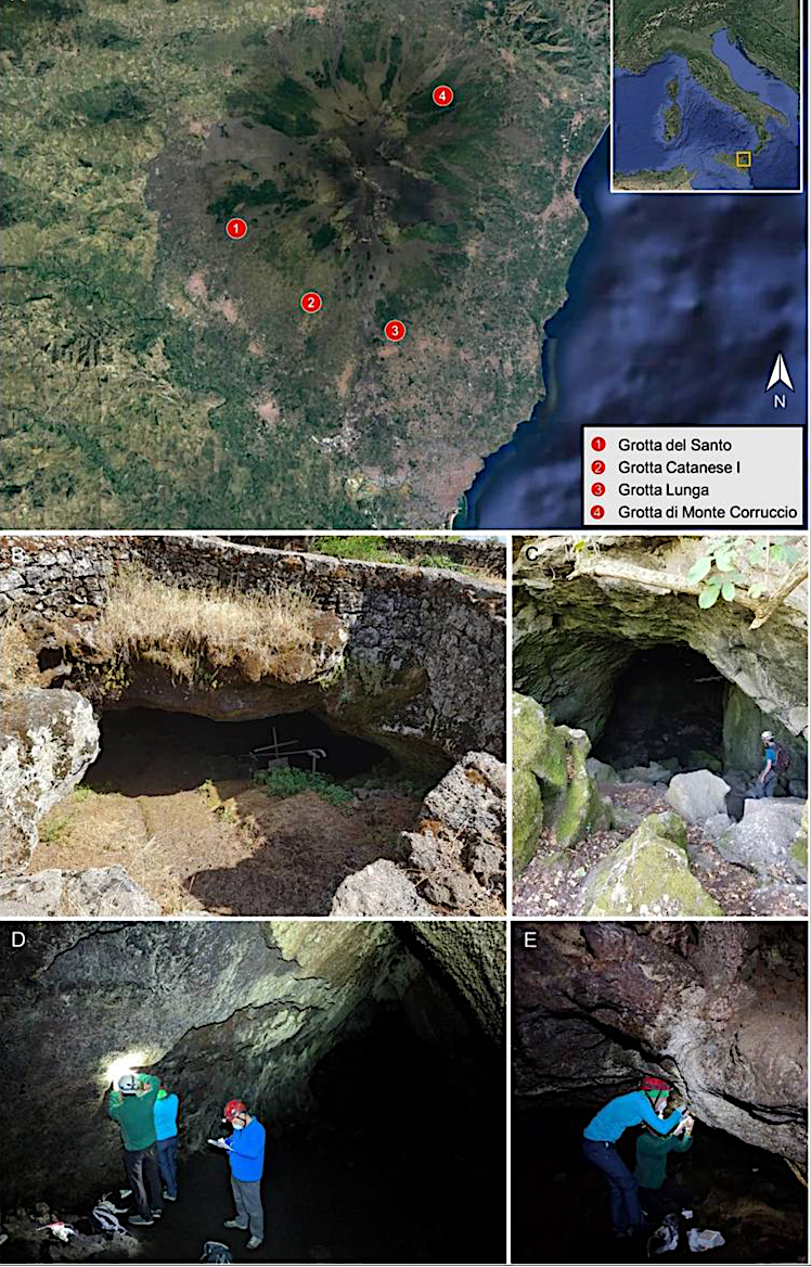 First Insights Into The Bacterial Diversity of Mount Etna Volcanic ...