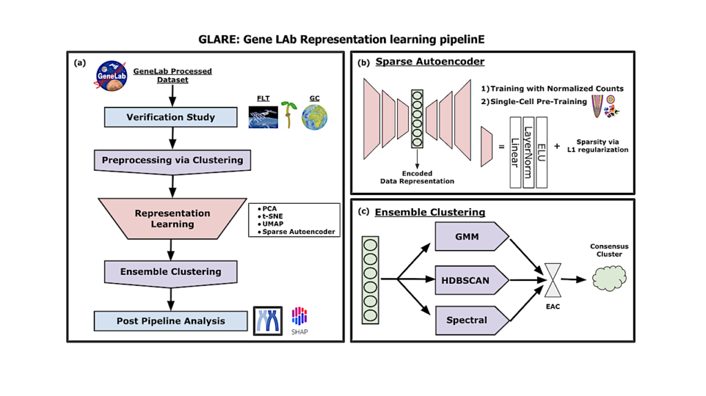 GLARE: Discovering Hidden Patterns In Spaceflight Transcriptome Using Representation Learning