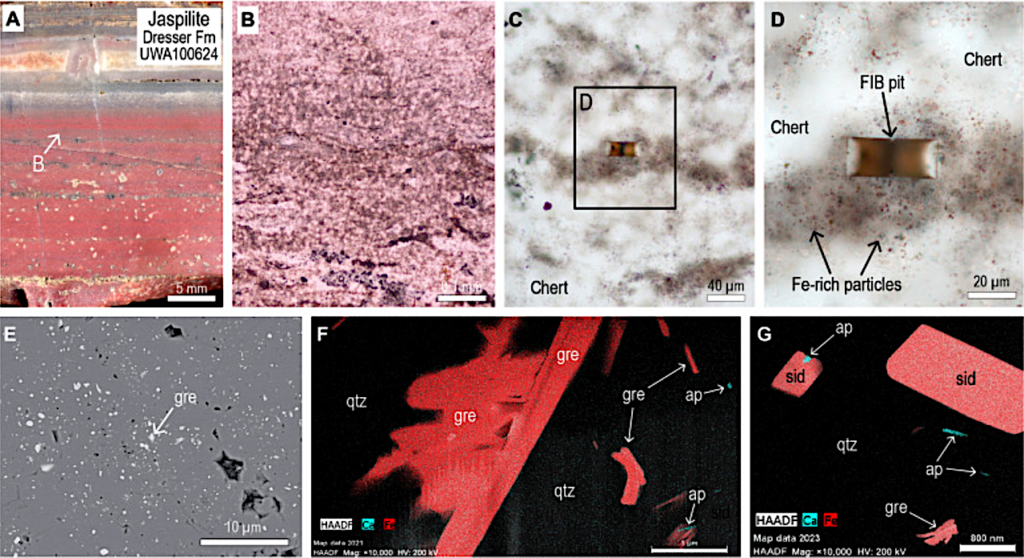 Nanoparticulate Apatite and Greenalite In The Oldest, Well-preserved Hydrothermal Vent Precipitates