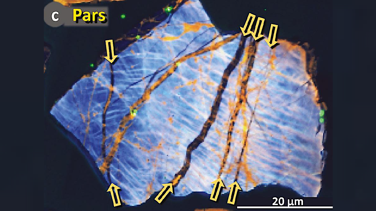 Shocked Quartz Reveals Evidence Of Historical Cosmic Airburst During The Younger Dryas