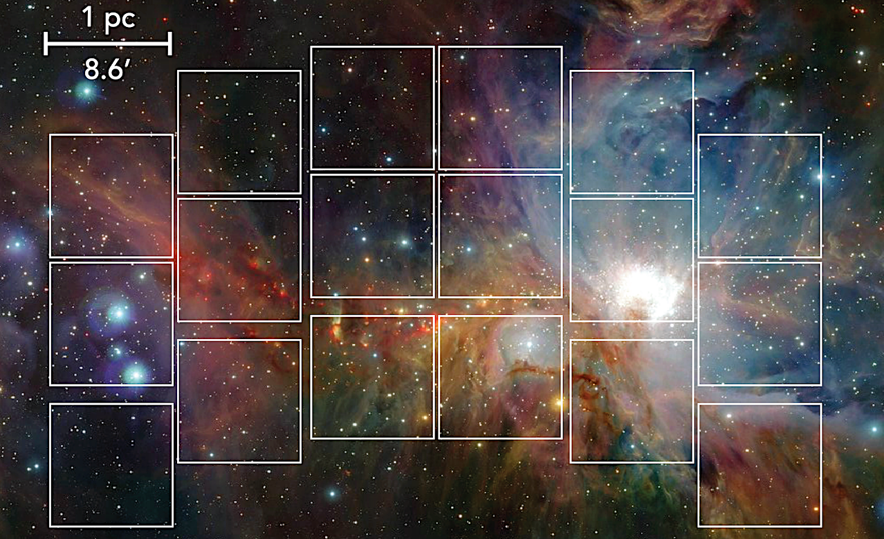 The TEMPO Survey II: Science Cases Leveraged from a Proposed 30-Day Time Domain Survey of the Orion Nebula with the Nancy Grace Roman Space Telescope