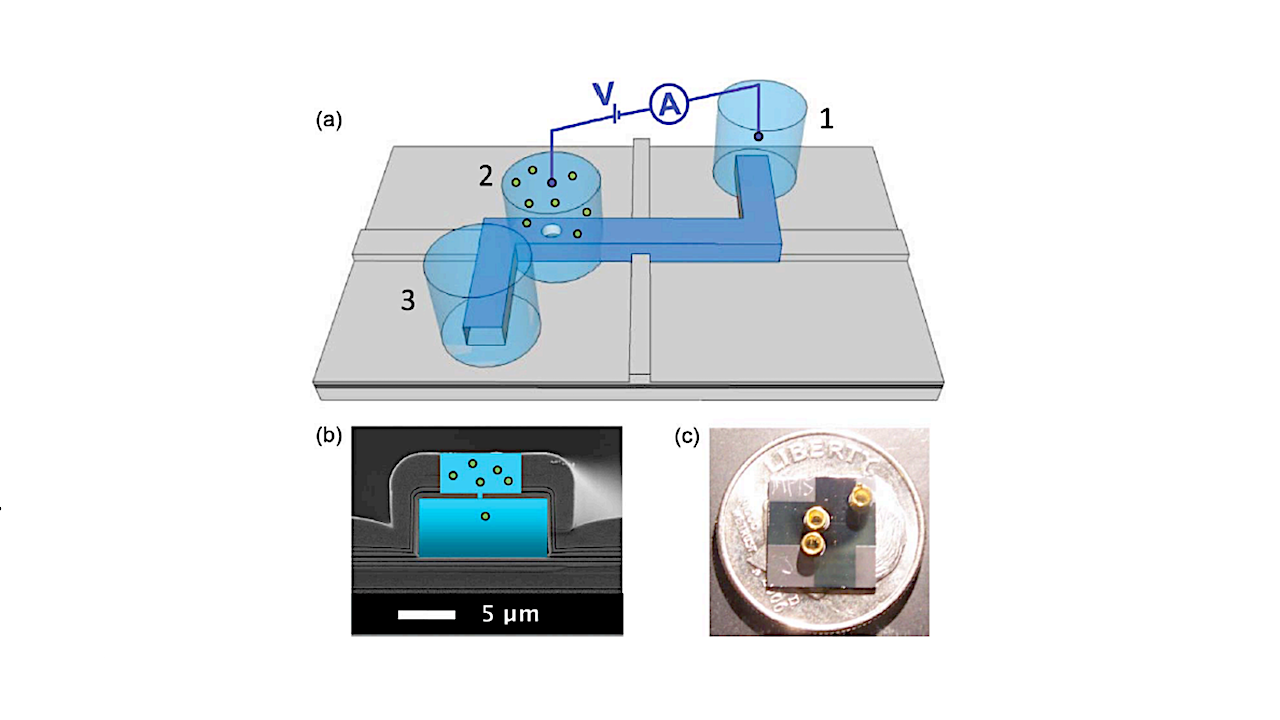 Tricorder Tech: Development Of Solid-State Nanopore Technology For Life Detection