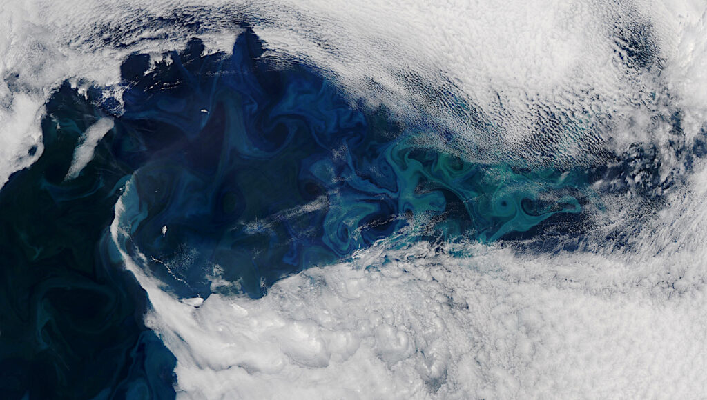 A Large Biosignature Visible From Space: Phytoplankton Bloom Near Greenland