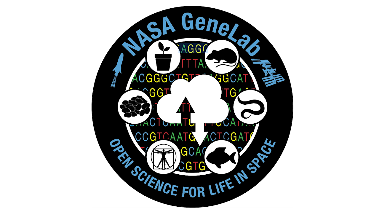 La segunda era espacial que incluye genómica, plataformas y medicina transorbital