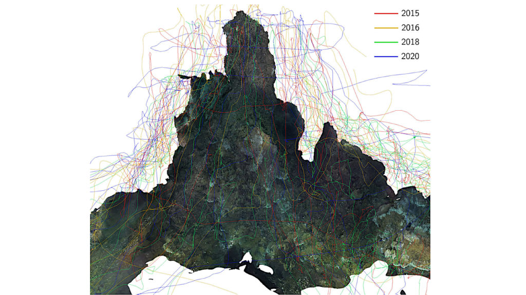 Away Team Deep-Sea Datasets: Long-Term Visual Localization Of The Eiffel Tower Hydrothermal Vent